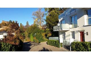 Wohnung mieten in 79410 Badenweiler, Schöne moderne, neuwertige 2-Zimmer-NR-Wohnung mit Terrasse und Einbauküche in Badenweiler