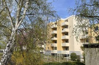 Wohnung mieten in 55218 Ingelheim, Moderne 4-Zimmer-Wohnung mit Balkon in ruhiger Lage von Ingelheim