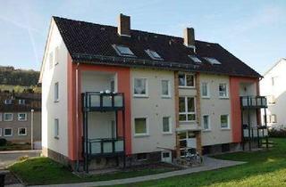 Wohnung mieten in Am Hörsumer Tor 20/DG links, 31061 Alfeld, Frisch gestrichen!