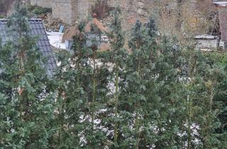 Wohnung mieten in Silberseestraße 19, 02999 Lohsa, Helle 4-Zimmer Wohnung mit Balkon in Lohsa OT Mortka