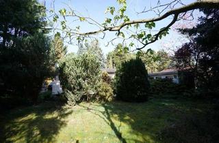Haus kaufen in 15754 Heidesee, Traumhaftes Grundstück mit Ferienbungalow