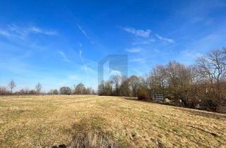 Anlageobjekt in 34621 Frielendorf, WOHNEN, ARBEITEN UND GESTALTEN IN EINEM KONZEPT