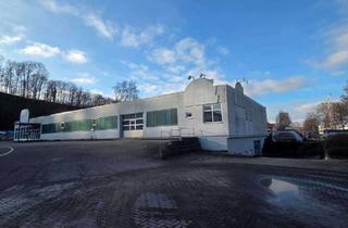 Büro zu mieten in 88400 Biberach, Variabel nutzbare gewerbliche Fläche EG plus UG (Halle / Produktion/ Lager/ Büro) in Biberach