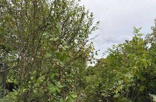 Grundstück zu kaufen in 63150 Heusenstamm, Grundstück für Wohnbebauung von EFH oder DH in organisch- gewachsener ruhiger Umgebung