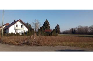 Grundstück zu kaufen in Veitlesweg, 86663 Asbach-Bäumenheim, Baugrund für Wohngebäude in Hamlar - Gemeinde Asbach-Bäumenheim