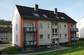 Wohnung mieten in 31061 Alfeld, Alfeld - Frisch gestrichen!