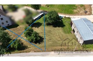 Gewerbeimmobilie kaufen in 91249 Weigendorf, Große Massiv-Scheune mit Grundstücken für viele Möglichkeiten Fläche C mit 1300qm