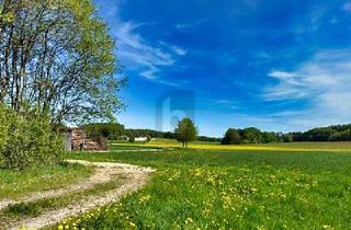 Grundstück zu kaufen in 92331 Parsberg, Parsberg - ENTSTEHT HIER IHR NEUER WOHNTRAUM IM GRÜNEN ?