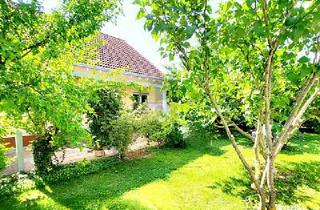 Einfamilienhaus kaufen in 55576 Sprendlingen, Sprendlingen - LICHT-RAUM-FREIHEIT ! TRAUM MIT VIEL PLATZ ZUM LEBEN !