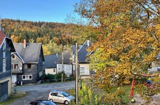 Haus kaufen in 98724 Neuhaus, Neuhaus am Rennweg - Ein Grundstück zwei Häuser