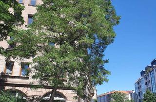 Wohnung mieten in Flößaustraße 153, 90763 Südstadt, Schöne Maisonnette-Wohnung am Südstadtpark