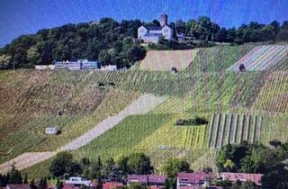 Einfamilienhaus kaufen in 74076 Heilbronn, 4-Familienhaus mit Ausbaupotenzial-angrenzendem Einfamilienhaus mit separatem Bürokomplex