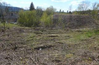 Grundstück zu kaufen in 31707 Bad Eilsen, Unverbaubar - Zentral gelegenes - kurzfristig bebaubarn-Grundstück für eine Wohnanlage / Geschoßwohnungsbau