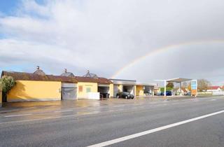 Immobilie kaufen in 67577 Alsheim, Auftanken und durchstarten – Standort mit Drive direkt an der B9!