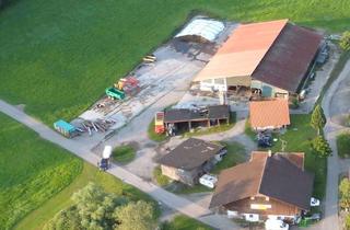 Gewerbeimmobilie kaufen in 88239 Wangen, Gewerbeimmobilie in Autobahnnähe, auch Wohnbebauung mgl.