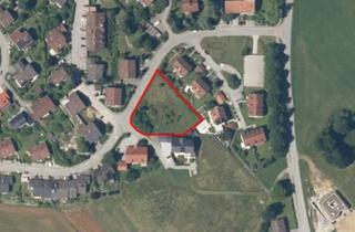 Grundstück zu kaufen in 94086 Bad Griesbach, Bauträgergrunndstück für 3 Mehrfamilienhäuser