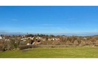 Wohnung kaufen in Kemptener Straße 3d, 88131 Lindau, Neubau: Hochwertige, bezugsfertige 4-Zimmer-Dachgeschosswohnung mit Blick ins Grüne | Wohnung D112