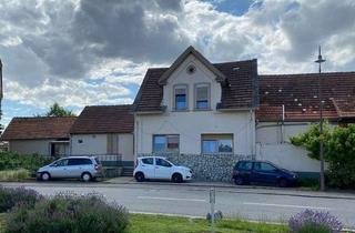 Wohnung mieten in Alzeyerstraße 108, 67592 Flörsheim-Dalsheim, renovierte Erdgeschosswohnung 3 ZKB 90 QM mit Garten und KFZ Stellplatz