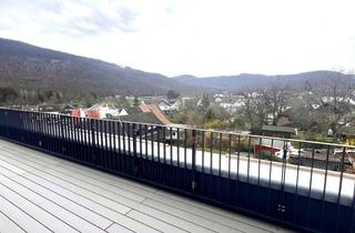 Penthouse mieten in Heidbüchel, 52372 Kreuzau, Exklusive 2-Zimmer Penthouse Wohnung mit Blick über Obermaubach (provisionsfrei)