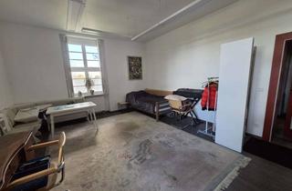 Wohnung mieten in 06618 Naumburg, NAUMBURG Möbliertes Apartment in ruhiger Grünlage, 1-2 Pers.