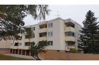 Wohnung mieten in 82110 Germering, Befristete Vermietung für 1 Jahr: Gepflegte 2-Zimmer-Wohnung im 2. OG mit Balkon in Germering