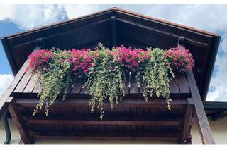 Wohnung mieten in Nelkenstraße --, 93346 Ihrlerstein, Helles und gemütliches Domizil über den Dächern