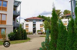 Wohnung mieten in Georgenpromenade 34, 06526 Sangerhausen, 2-Zimmer-Wohnung mit Balkon im 2. OG in Sangerhausen