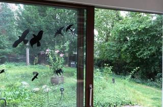 Haus mieten in Am Laubberg, 38518 Gifhorn, Einfamilienhaus mit Garten am Stadtwald