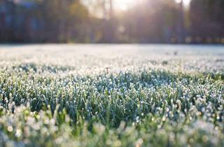 Grundstück zu kaufen in 46244 Grafenwald, Tolles Grundstück in Bottrop - Mit Bien-Zenker wird Wohnen zum Erlebnis