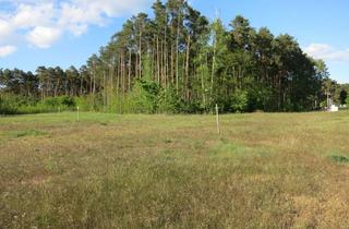 Grundstück zu kaufen in 15864 Wendisch Rietz, Wendisch Rietz b. Bad Saarow– nur noch 5 Grundstücke