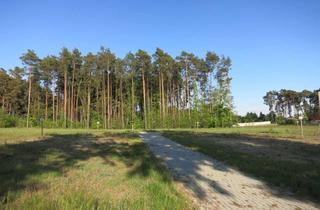 Grundstück zu kaufen in 15864 Wendisch Rietz, Wendisch Rietz b. Bad Saarow– nur noch 5 Grundstücke