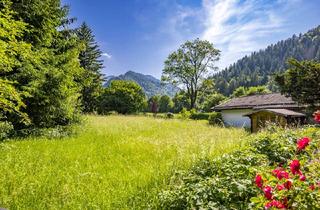 Grundstück zu kaufen in 83730 Fischbachau, Sonniges Grundstück in Fischbachau