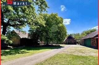 Einfamilienhaus kaufen in 31604 Raddestorf, Raddestorf - Landtraum im Weserraum!