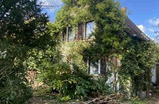 Einfamilienhaus kaufen in 76887 Bad Bergzabern, Bad Bergzabern - Zauberhaftes Hexenhaus Nähe Kurpark