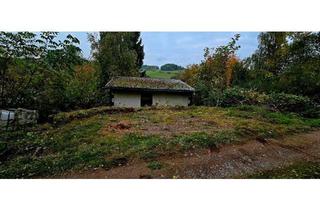 Haus kaufen in 63860 Rothenbuch, Rothenbuch - Grundstück mit Freizeithütte am Herrlesberg