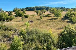 Wohnung kaufen in 54298 Welschbillig, Welschbillig - Eigentumswohnung, Dachgeschoss zum Selbstausbau besonders geeig