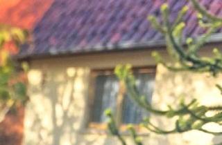 Doppelhaushälfte kaufen in 17235 Neustrelitz, Neustrelitz - Doppelhaushälfte mit Nebengebäude