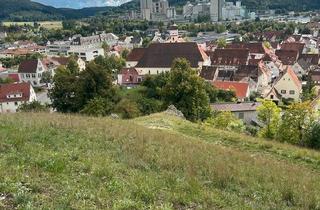 Einfamilienhaus kaufen in 89601 Schelklingen, Schelklingen - Einfamilienhaus mit Einliegerwohnung