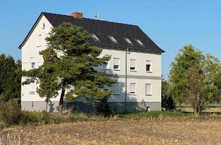 Mehrfamilienhaus kaufen in 39179 Barleben, Barleben - PensionGästehausMehrfamilienhausParkplatz-Gastronomie möglich