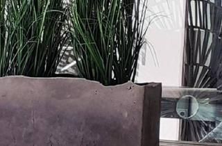 Einfamilienhaus kaufen in 73249 Wernau, Wernau (Neckar) - EXCLUSIVES EINFAMILIENHAUS IM LANDKREIS ESSLINGEN