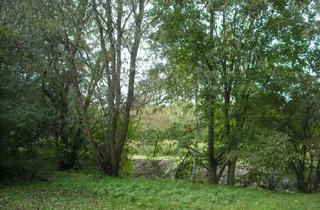 Wohnung kaufen in 14612 Falkensee, 3-Zimmerwohnung als Kapitalanlage in Falkensee, Ortsteil Finkenkrug