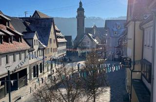 Wohnung mieten in Obere Vorstadt 29, 72458 Albstadt, Moderne 2-Zimmer-Wohnung in Ebingen - zentrale Lage mit Aufzug und EBK