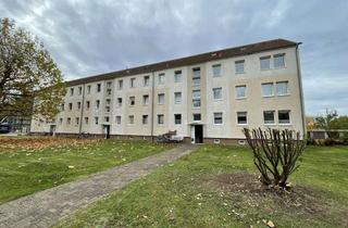 Wohnung mieten in Hermann-Matern Str., 18569 Gingst, sonnige 2 Zimmer Wohnung in Gingst Hermann-Matern-Str. 4 zu vermieten ! NEU