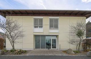 Wohnung mieten in 76332 Bad Herrenalb, Ihr Platz an der Sonne