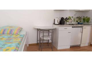 Wohnung mieten in 56377 Nassau, Schickes 11 m²-Apartment, vollmöbiliert, in der Nähe des Stadtzentrums Nassau