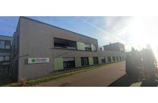 Wohnung mieten in 74391 Erligheim, Großzügig und hell - Betreute Seniorenwohnung in Erligheim