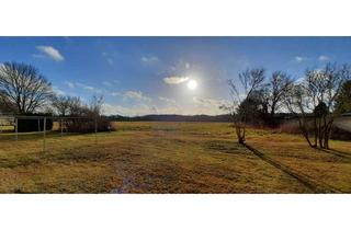 Wohnung mieten in Ringstraße 42, 03149 Forst, 2 Zimmerwohnung zum 01.01.2026 anmieten