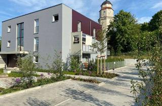 Wohnung mieten in Düwellstraße 8b, 85354 Freising, Moderne 2-Zimmer-Erdgeschosswohnung mit Terrasse und Einbauküche in Freising