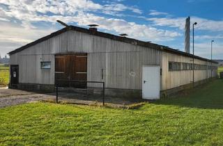 Lager mieten in 78628 Rottweil, Lagerhalle Lagerfläche Halle Stellplatz