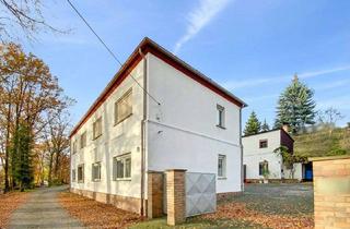 Haus kaufen in 01979 Lauchhammer, Zweifamilienhaus mit vielseitig nutzbarem Grundstück in Lauchhammer